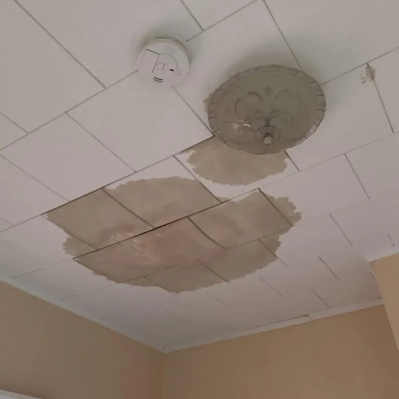 Ceiling Water Damage Repair in West Falmouth, MA