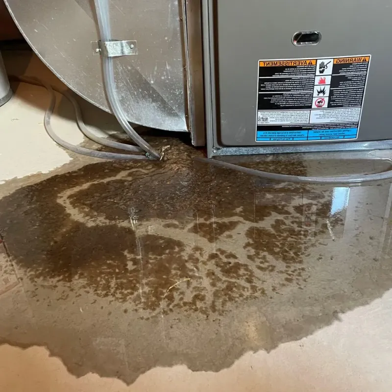 Pipe Burst and Leak Restoration in West Falmouth, MA